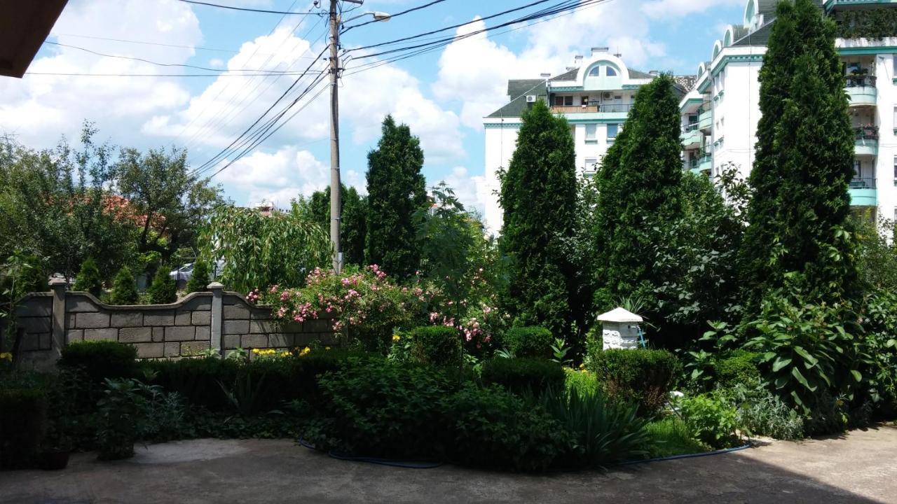 M4U Apartments Nis Exterior foto